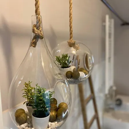 Il Fiore Della Fiera 볼로냐